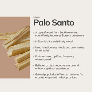 PALO SANTO STICKS FROM PERU / 6 STICKS